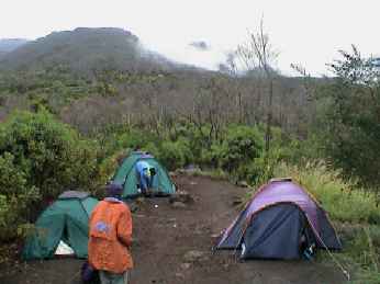 Dy2_003_Machame_camp.jpg (10478 bytes)