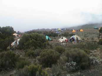 Dy2_039_Shira_camp.jpg (8288 bytes)