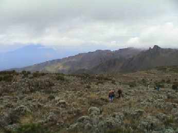Dy3_016_trail.jpg (8626 bytes)