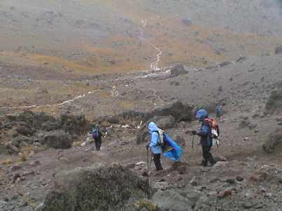 Dy3_033_wet_trail.jpg (14261 bytes)
