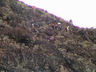 Dy4_025_Barranco_wall.jpg (15033 bytes)