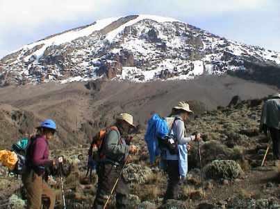 Dy5_011_trail.jpg (20964 bytes)