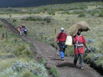 Dy7_029_Marangu_trail.jpg (12320 bytes)
