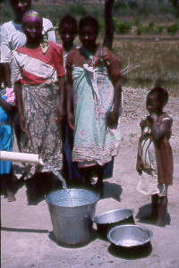 buckets.jpg (14823 bytes)