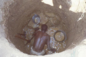 digging.jpg (12573 bytes)