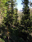 THP6140017.JPG (11503 bytes)